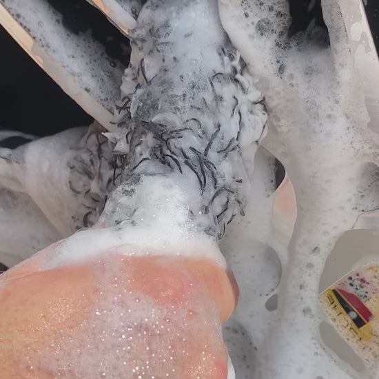 Video of Fox Tail wheel mitts detailing Porsche rims